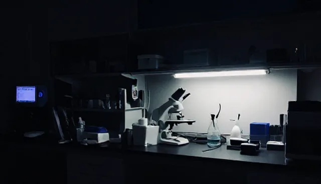 如何高效利用企业名录展示进行采购?
